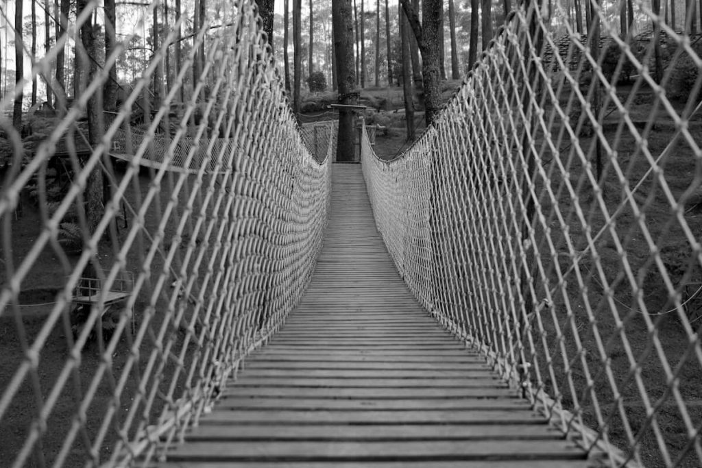 Burhani Associates and Co - NSSF Amendments